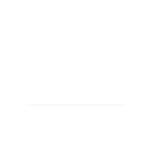 Marcas especializadas